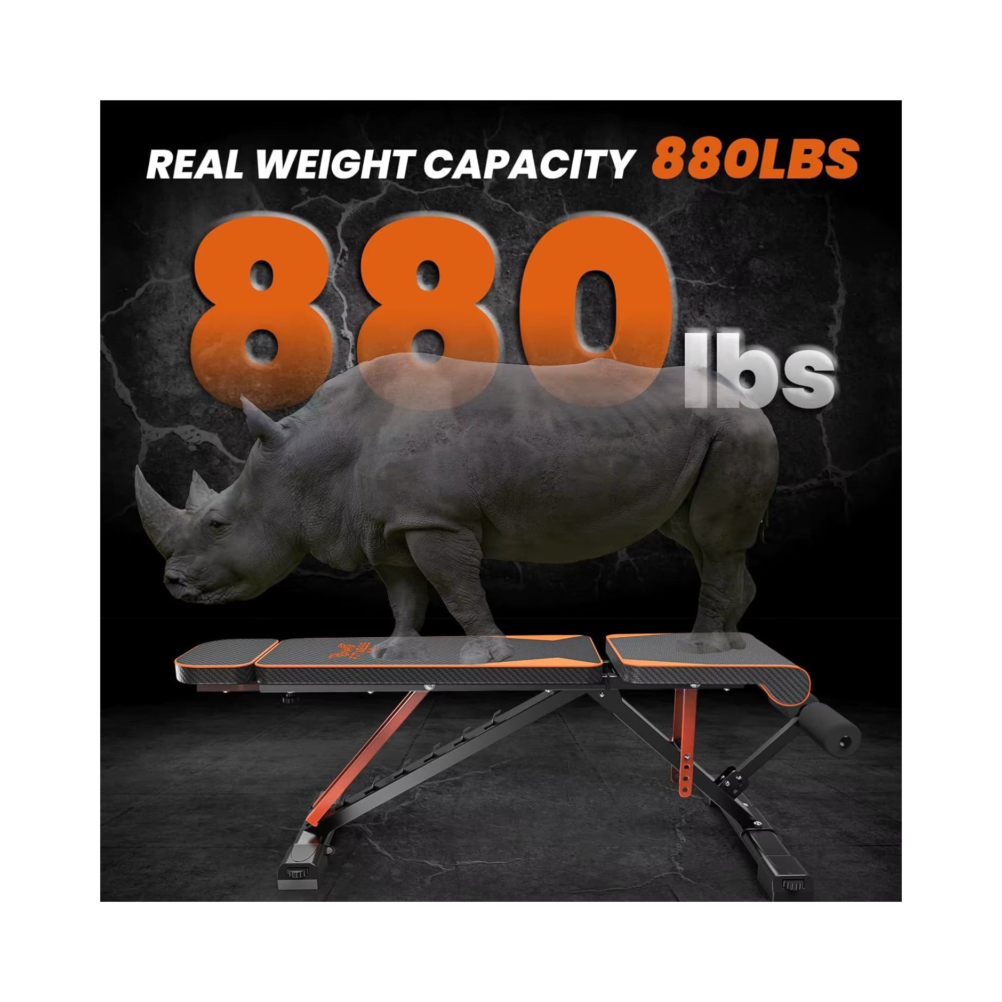 Golden Dragon Home Gym Starter Set