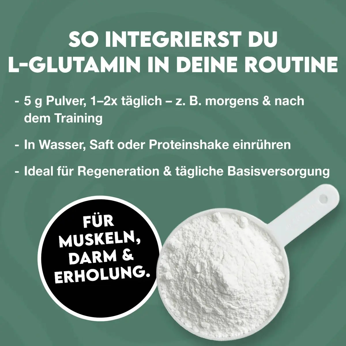 INLEAD L-Glutamine 500 g