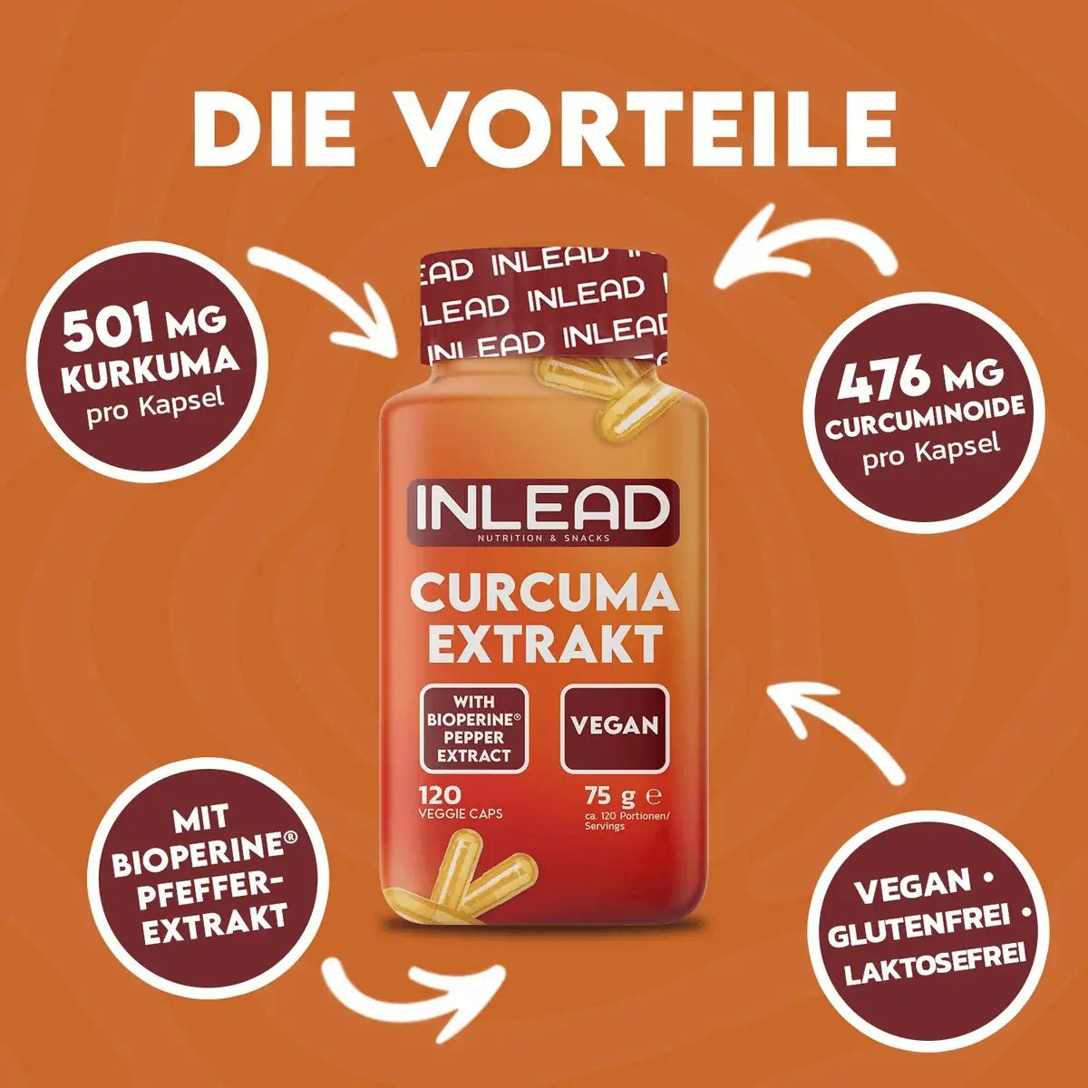 INLEAD Curcuma Extrakt 120 Kapseln