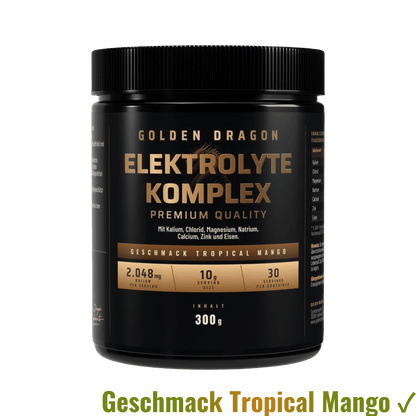 Golden Dragon Elektrolyte Komplex Tropical Mango 300 g