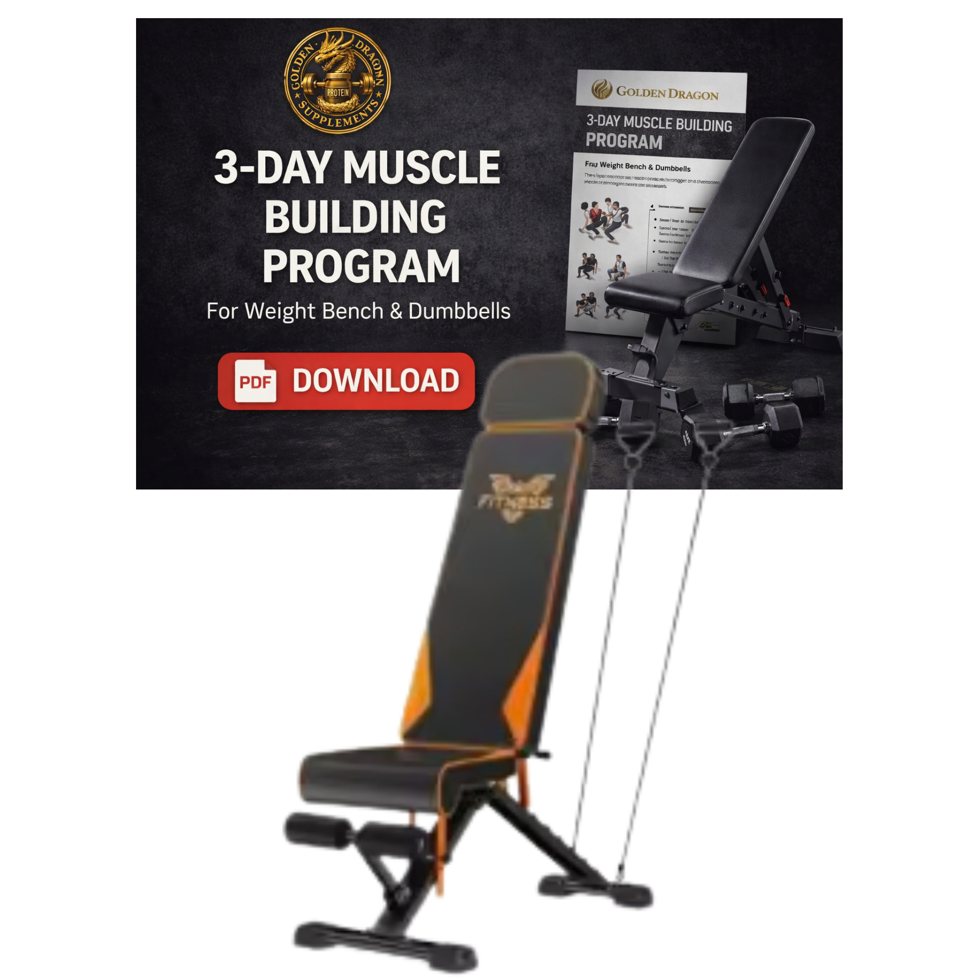 Golden Dragon Home Gym Starter Set