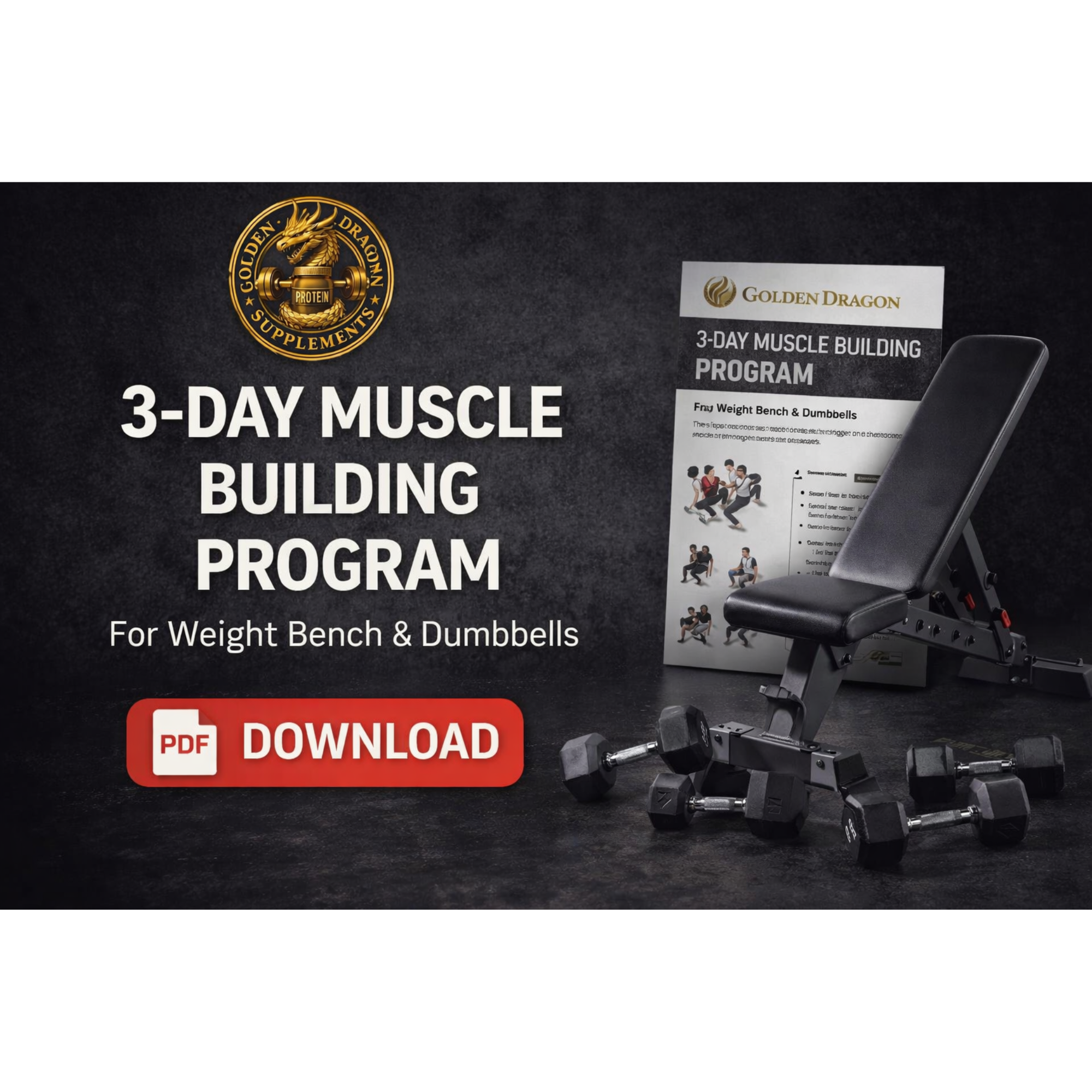 Golden Dragon 3-Day Muscle Building Program (PDF)