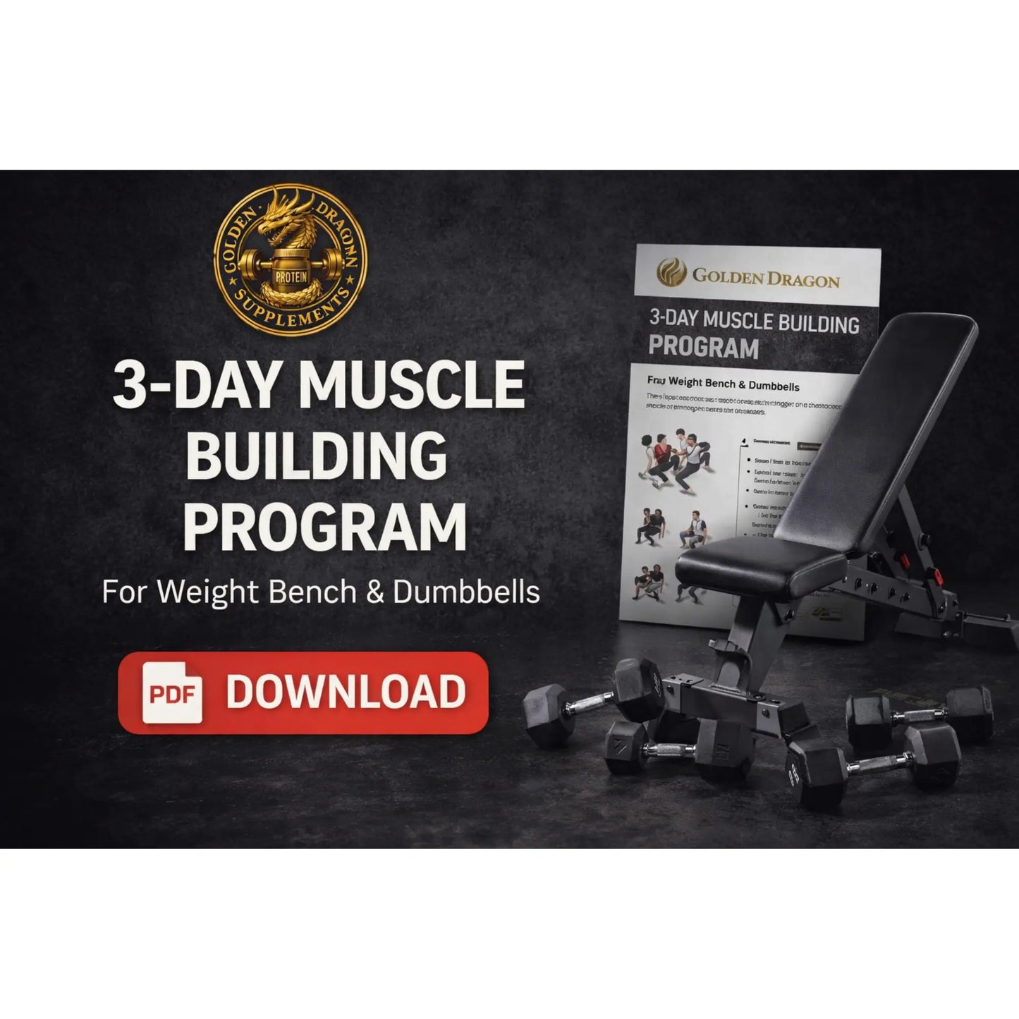 Golden Dragon 3-Tage-Trainingsplan (PDF) - Ganzkörper-Leitfaden