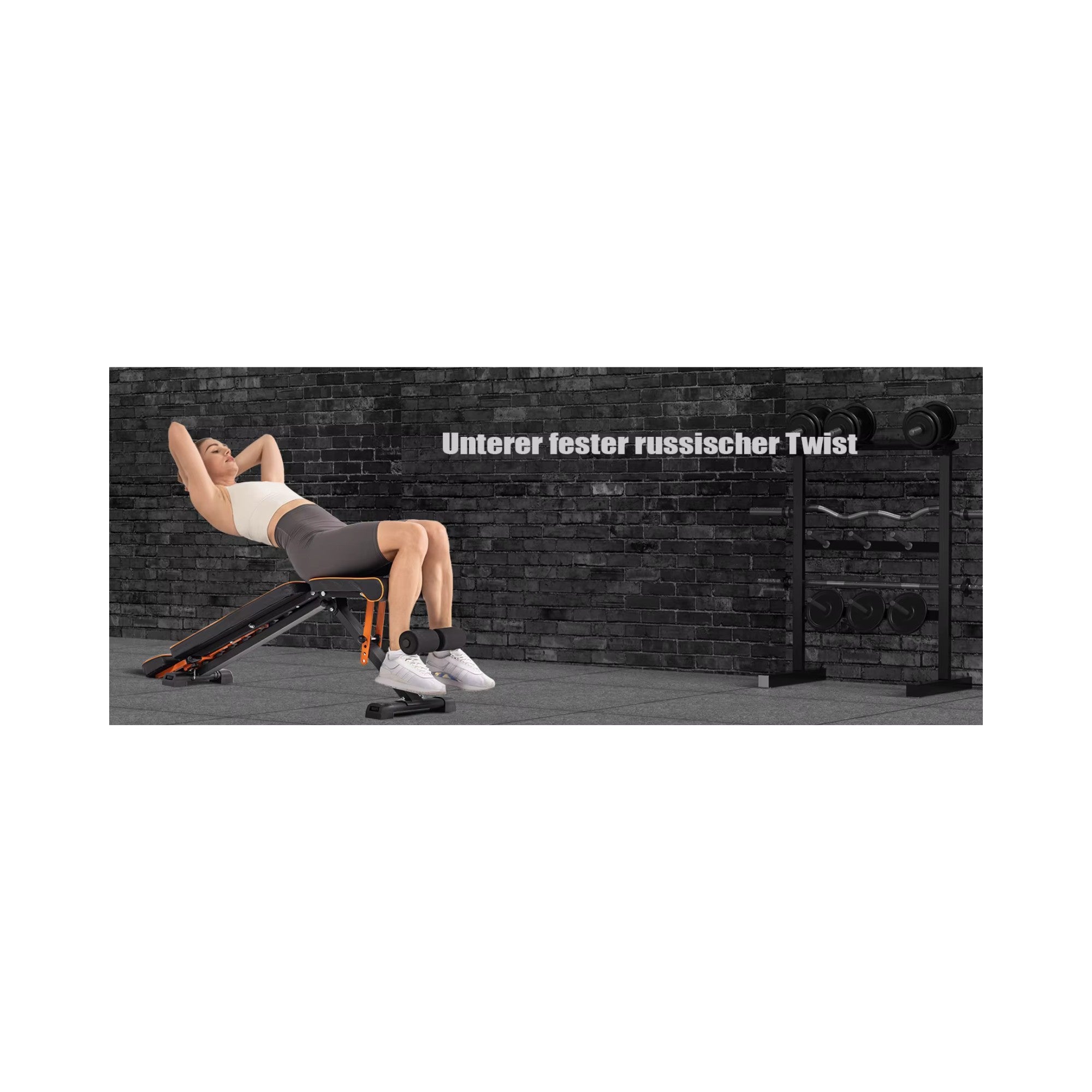 Golden Dragon Home Gym Starter Set