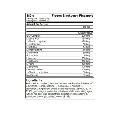 FA Nutrition ICE Hydro Amino - 480g