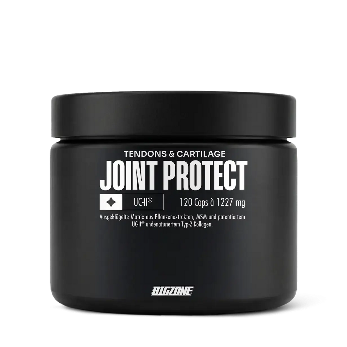 Big Zone Joint Protect 2.0 120 Kapseln